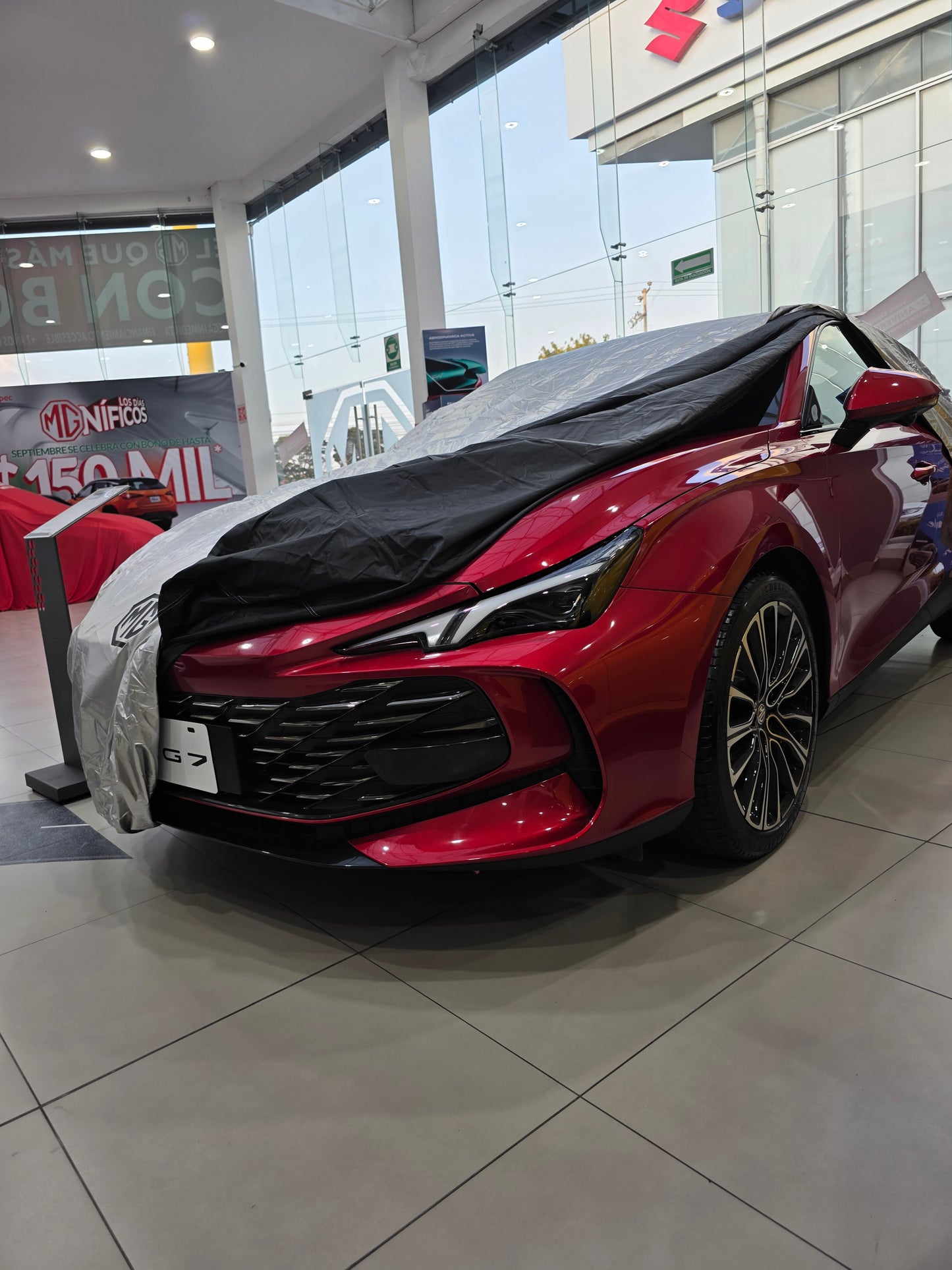 Funda Protectora Gris mx